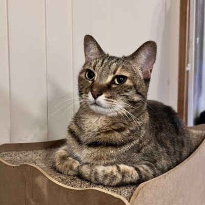【臨時休業のお知らせ】